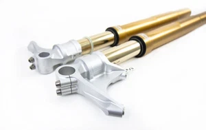 FORCELLA COMPLETA OHLINS R&T FODERO ORO DUCATI 1199 PANIGALE 2012-14 - Foto 1 di 3