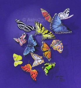 Camiseta BUTTERFLY SPLASH-Mariposas Insectos Bichos Ciencia de la Naturaleza 2 Caras S-2XL - Imagen 1 de 3