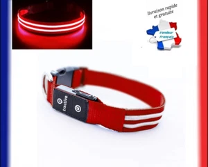 LED Lichthalsband für Hunde Wiederaufladbar USB Wasserdicht Einstellbar 3 Modi Nacht - Bild 1 von 11