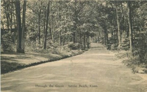 Connecticut Grove Beach Through the Grove Albertype 1920er Postkarte 22-1019 - Bild 1 von 2
