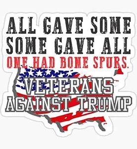 US Flag Veterans against Trump anti Trump 2020 Election - Sticker Graphic - Auto - Picture 1 of 12