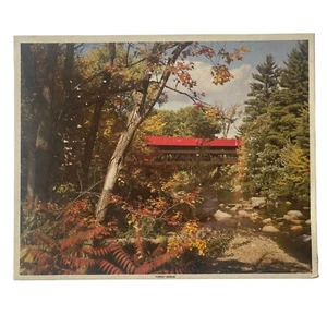 Puzzle Whitman Forest Bridge 1000 Piezas Deadstock Sellado de Fábrica Años 80 - Imagen 1 de 8