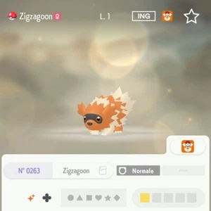Zigzagoon Shiny 6 IV 31 100% Legit Livello 1 Competitivo Pokemon Home All Gen - Afbeelding 1 van 1