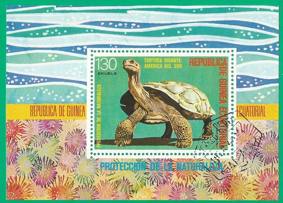 Equatorial guinea 1976 year , used block turtle - Image 1 of 1