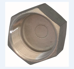 Verschlusskappe mit Sechskant und Innengewinde, Edelstahl Stopfen Gewindefitting - Bild 1 von 3