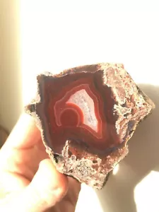  Laguna Agate Geode End Polished End Slice View Mexico  - Picture 1 of 12