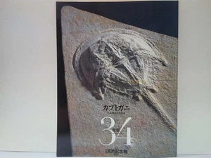 Japanische Naturdenkmäler 34 Hufeisenkrabben aus Japan - Bild 1 von 9