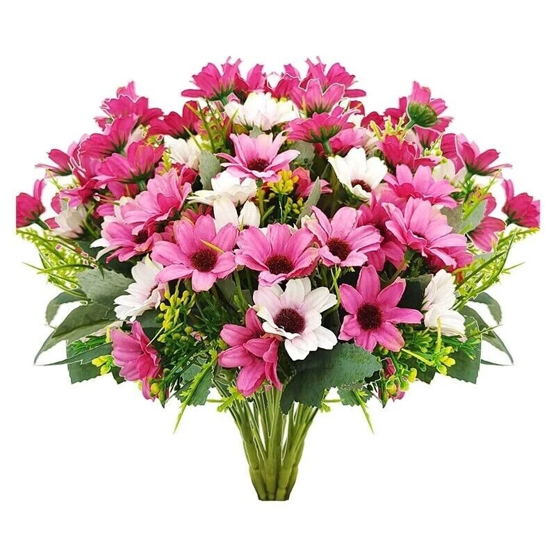 BONSAI CHINESISCHE ULME ULMUS PARVIFOLIA INDOOR BAUM PFLEGELEICHT !!! - Bild 1 von 1