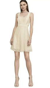 NWT BCBG Maxazria Alena Dress Beige Metallic Silver Lace Sleeveless Open Back 10 - Picture 1 of 12