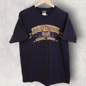 mens Harley Davidson USA 2009 short sleeve graphic t-shirt, large - Picture 1 of 4