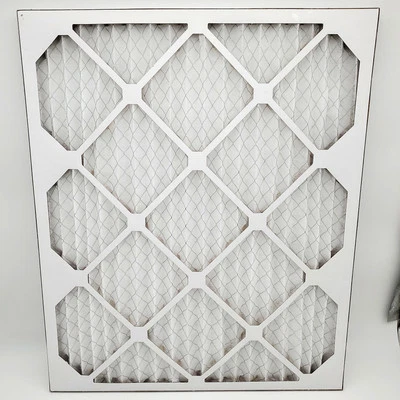 Filtros de aire AAF Flandes 20x24x1 Merv 8 pre-plé 80055.012024 paquete de 12 Foto 1 de 4