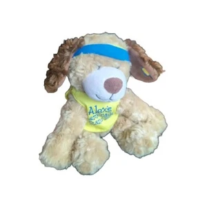Alex's Lemonade Stand Foundation Hero Plush Beanie 8" 🍋 - Picture 1 of 2