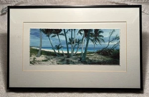 Leah & Doug Cavanah PANORAMIC Framed Photo Called Island Days, 16” X 10” SIGNED! - Picture 1 of 5