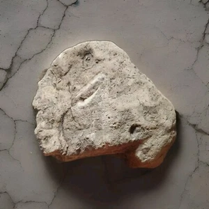 Authentic Native American Paleo Indian/Rock Art/Ceremonial Ax Head/Demon Effigy - Picture 1 of 24