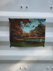 Estampado de caza de faisán hombre colores muy vivos - Imagen 1 de 5