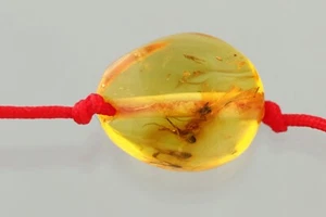 Fossil Insect BALTIC AMBER Unisex Red String Adjustable Bracelet 0.6g 241218-21 - Picture 1 of 6