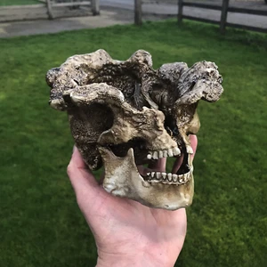 The last of Us Clicker! Last Of Us 2 Clicker skull, last of us gift plant pot! - Picture 1 of 5