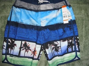 BIG CHILL TEEN/BOYS/YOUTH LINED SWIMWEAR SWIM TRUNKS SIZE 10/12 WAIST 26-32" - Picture 1 of 3