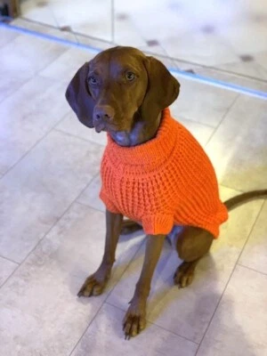 Hundepullover Pullover Hund Pulli GF Pet SCOUT Sweater RL 53 cm XL orange NEU - Bild 1 von 3