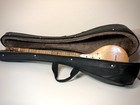Music Instrument Persian Setar with Case