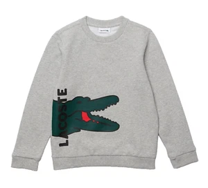 LACOSTE GRAY LACOSTE KIDS SWEATER SJ6828 W9D - Picture 1 of 1