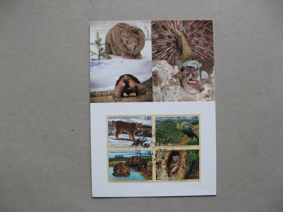 UNITED NATIONS GENEVA, maxi card maximumcard  FDC 2001, Lynx peacock turtle - Image 1 of 1