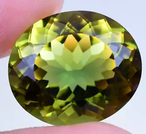 Natural Bi-Color Tourmaline 11.10 Ct Oval Cut Rare Certified Loose Gemstone - Picture 1 of 6