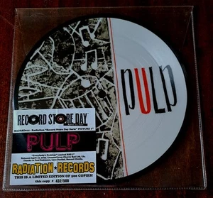 Pulp ~ Everbody‘s Problem ~ Ltd #500 ~ RSD Italy ~ 7" Pic‘ Disc ~ IN HAND - Bild 1 von 2