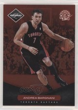 2011-12 Panini Limited /299 Andrea Bargnani #104