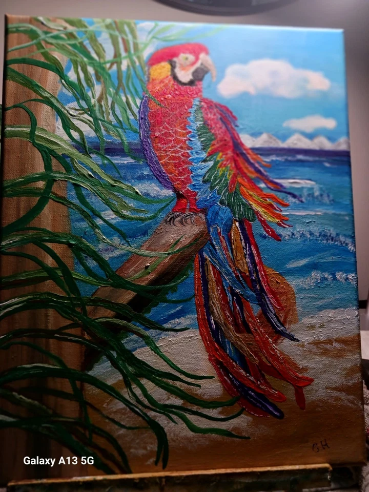 五颜六色的鹦鹉绘画抽象热带鸟类墙壁装饰动物艺术 40x40 — 第 1/1 张图片