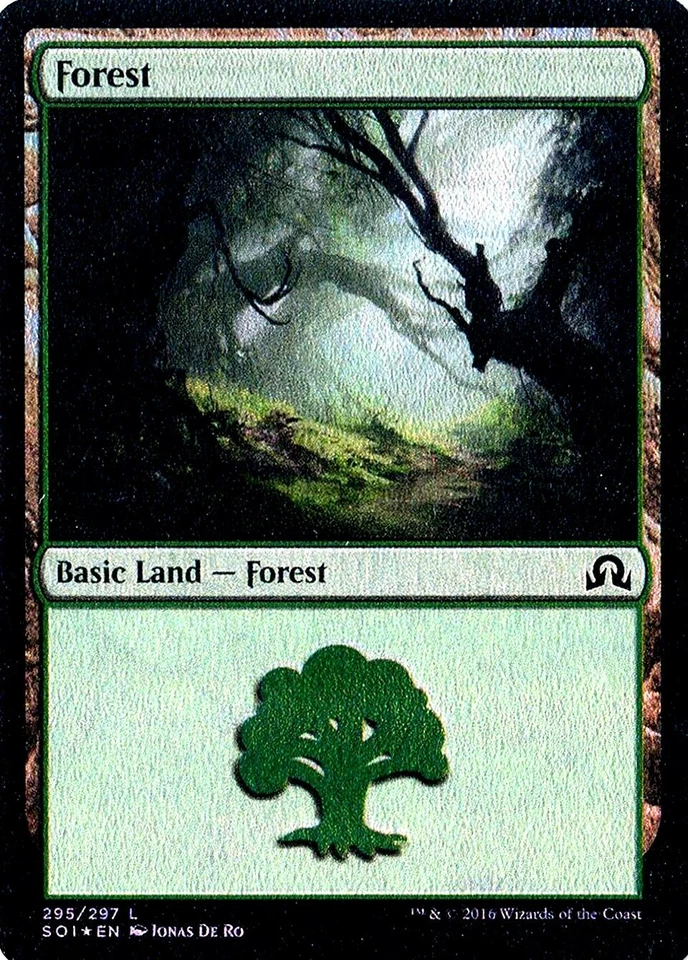 MTG - Shadows over Innistrad - Forest #295 - Foil - Various conditions - Image 1 of 1