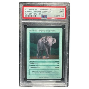 Life TCG Mammals Borneo Pygmy Elephant 1st Edition HOLO PSA 9 First Edition 2023 - Picture 1 of 4