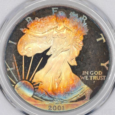 American Silver Eagle 2001-W prueba de $1 graduación profesional MS67DCAM - hermoso tono Foto 1 de 4