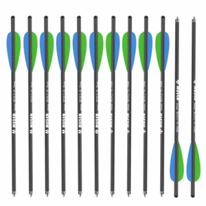 12pcs 20'' 125 Grain Archery Carbon Arrows 7.6 mm Plastic Feather Sport Hunting - Picture 1 of 6