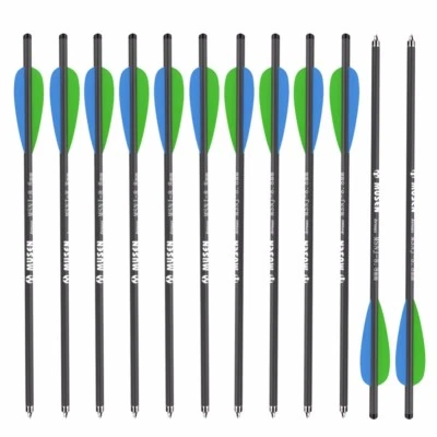 12pcs 20'' 125 Grain Archery Carbon Arrows 7.6 mm Plastic Feather Sport Hunting - Image 1 of 4