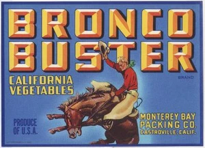 *Original* BRONCO BUSTER Rodeo Cowboy Horse Castroville Veg Label NOT A COPY! - Picture 1 of 1
