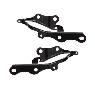 For Lexus GX470 2003-2009 Hood Hinge Driver and Passenger Side | Pair | Black - Изображение 1 из 4