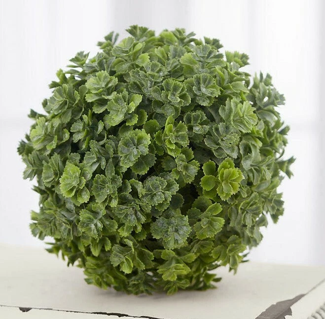 Bola de orbe suculento Sedum - 5,5 pulgadas - Cantidad 6 boj boda evento nupcial decoración Foto 1 de 1