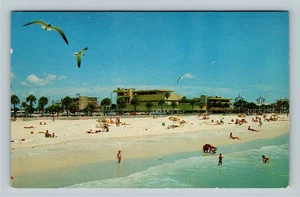 Gulf of Mexico, Swimming, Pelicans, Clearwater Beach Florida Vintage Postcard - Picture 1 of 2