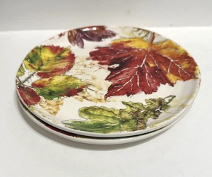 Pier One Wildwood Leaves Salad/Luncheon Plates 8.5" Ironstone Set of 2  #1826 - Picture 1 of 10