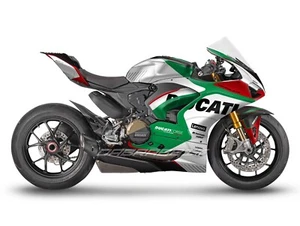 NEW Graphic kit for DUCATI PANIGALE V2 (2019~2024) Full Graphic kit (WRC-RG) - Picture 1 of 7