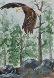 Aceo Eagle in Flight  original painting  in acrylic - Picture 1 of 1