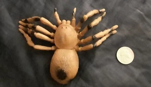 Araña gigante/TARÁNTULA - Diversión para bromas o para poner en exhibición - Imagen 1 de 2