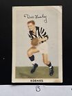 B) NO 16 DES HEALY COLLINGWOOD  1951 KORNIES CARD FOOTBALLERS IN ACTION BAR REAR