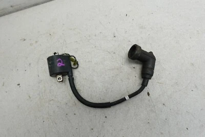 Yamaha Mountain Max VMAX SX Viper Venture 2000-2006 OEM conjunto de bobina de encendido Foto 1 de 4