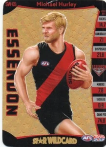 2019 Teamcoach Star Wildcard SW-05 Michael Hurley Essendon - Picture 1 of 2