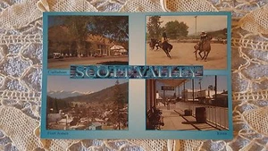VINTAGE POSTCARD SCOTT VALLEY CALIFORNIA BY ERICH ZILLER EASTMAN'S POSTCARD - Picture 1 of 2