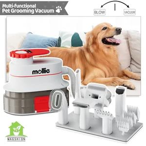 Kit profesional de aseo de mascotas [ASPIRADOR + SOPLADOR] secador de pelo para perros herramienta de cepillo de desprendimiento - Imagen 1 de 20