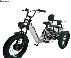 Triciclo eléctrico de nieve de 20 pulgadas 500W 48V carga/e-trike tripulado con respaldo - Imagen 1 de 13