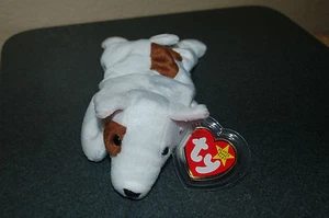 BUTCH the BULL Terrier DOG - Ty Beanie Baby - MWMT - Too Cute - Fast Shipping - Picture 1 of 2